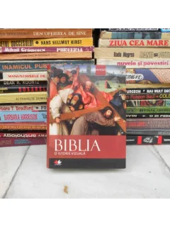 Biblia o istorie vizuala , Editura Litera , 2010