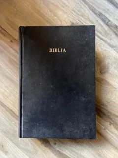 Biblia sau Sfanta Scriptura