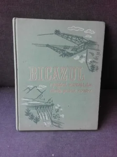 BICAZUL, O PAGINA MAREATA DIN ISTORIA NOASTRA  VOL.I, ALBUM