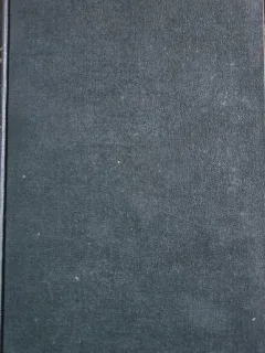 BIOGRAFIILE OAMENILOR ILUSTRI - N.T. LEONTESCU