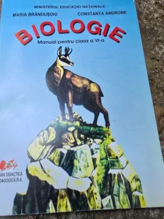 Biologie - manual pentru clasa a VI - Maria Brandusoiu