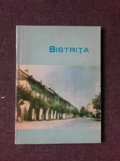 BISTRITA, MIC INDREPTAR ISTORIC