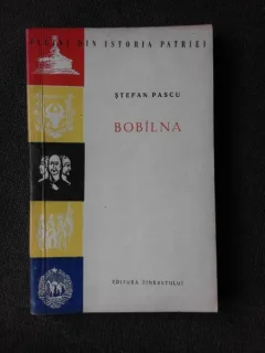 BOBILNA - STEFAN PASCU