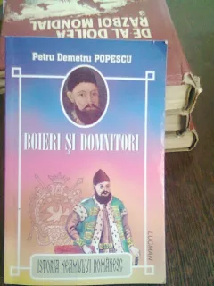 BOIERI SI DOMNITORI - PETRU DEMETRU POPESCU