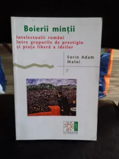 BOIERII MINTII - SORIN ADAM MATEI