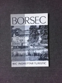 BORSEC, MIC INDREPTAR TURISTIC