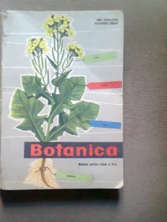 Botanica - manual pentru clasa a V-a - Emil Sanielevici