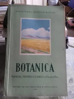 BOTANICA. MANUAL PENTRU CLASELE A V-A SI A VI-A