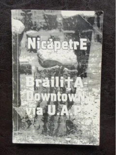 BRAILITA DOWNTOWN VIA U.A.P - NICAPETRE