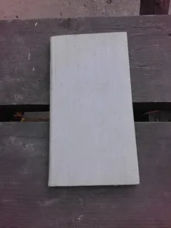 BRANCUSI, SES RACINES ROUMAINES - DAN GRIGORESCU  (CARTE IN LIMBA FRANCEZA)