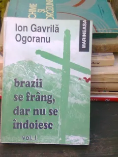 Brazii se frang , dar nu se indoiesc - Ion Gavrila Ogoranu  vol1