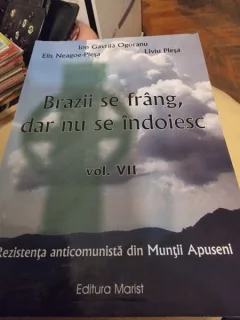 Brazii se frang,dar nu se indoiesc vol VII