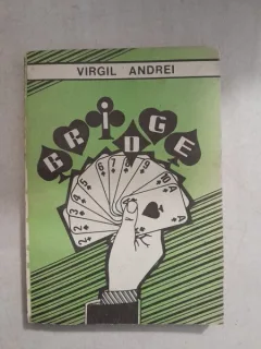 Bridge - Virgil Andrei