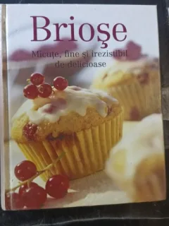 Briose Micute , Fine si Irezistibil de Delicioase