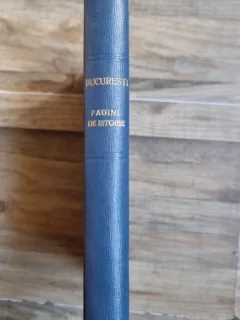 BUCURESTI, PAGINI DE ISTORIE - ION IONASCU