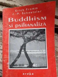 Buddhism si psihanaliza Erich Fromm, J.-P. Schnetzler