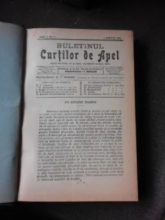 Buletinul Curtilor de apel, 1924
