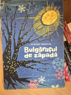 Bulgarasul de zapada , Mircea Pamfilie