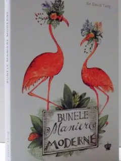 BUNELE MANIERE MODERNE DE SIR DAVID TANG