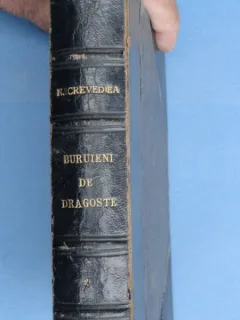 Buruieni de dragoste - N. Crevedia