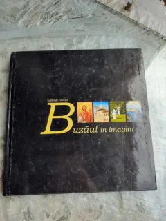 BUZAUL IN IMAGINI, ALBUM