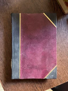C. D. Severeanu - Din amintirile mele 1853-1928 (volumul 2, 1929)