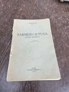 C. Daicoviciu Sarmizegetusa (Ulpia Traiana)