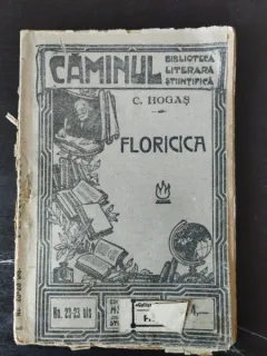 C. Hogas - Floricica