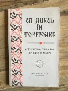 Ca Aurul in Topitoare - Viata Muceniceasca a Unui Iov al Zilelor Noastre