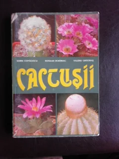 Cactusii - Sorin Copacescu