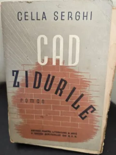 CAD ZIDURILE -CELLA SERGHI