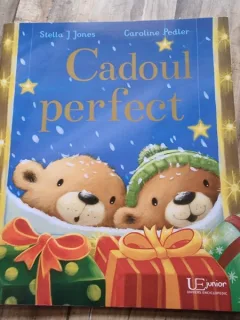 Cadoul perfect - Stella J. Jones