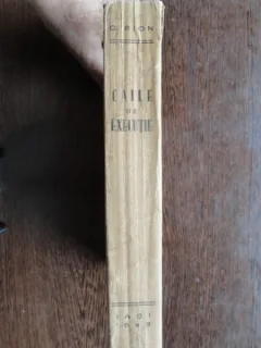 CAILE DE EXECUTIE - CONSTANTIN SION