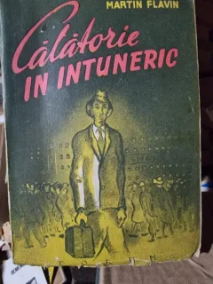 Calatorie in intuneric - Martin Flavin
