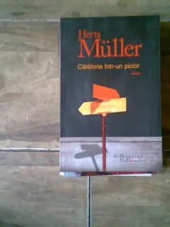 CALATORIE INTR-UN PICIOR - HERTA MULLER