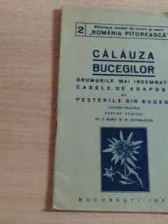 CALAUZA BUCEGILOR-D.I.CRANGURI SI ALTII.