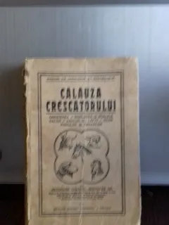 CALAUZA CRESCATORULUI - HORTOPAN GR.
