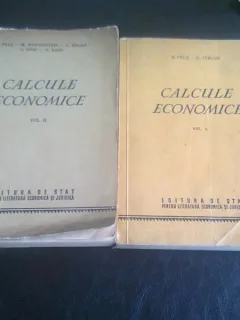 CALCULE ECONOMICE - S. PELZ   2 VOLUME