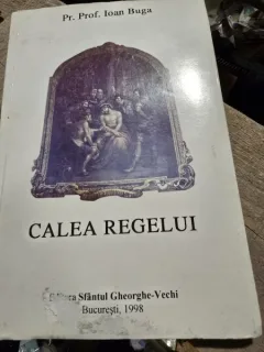 Calea regelui - Ioan Buga