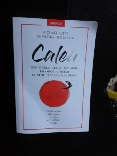 Calea, secretele celor mai mari filosofi chinezi pentru o viata mai buna - Michael Puett