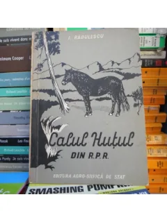 Calul Hutul din R.P.R , I. Radulecu