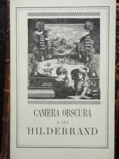 CAMERA OBSCURA A LUI HILDEBRAND