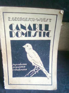 CANARUL DOMESTIC - E. GEORGESCU WUEST