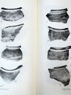 CAPIDAVA.MONOGRAFIE ARHEOLOGICA  VOL I 1958
