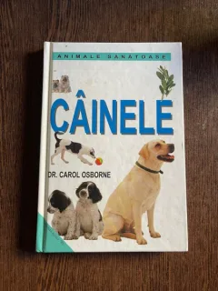 Carol Osborne Cainele