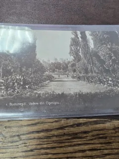 Carte Bucuresti Vedere din Cismigiu, 1929