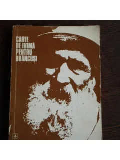 CARTE DE INIMA PENTRU BRANCUSI - NINA STANCULESCU