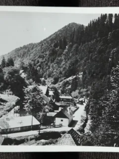 Carte poastala, localitatea Radna, judetul Arad, 1943