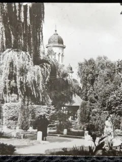 Carte postala. Radauti, vedere din parc, 1968