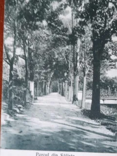Carte postal, Parcul din Salistea, perioada interbelica
